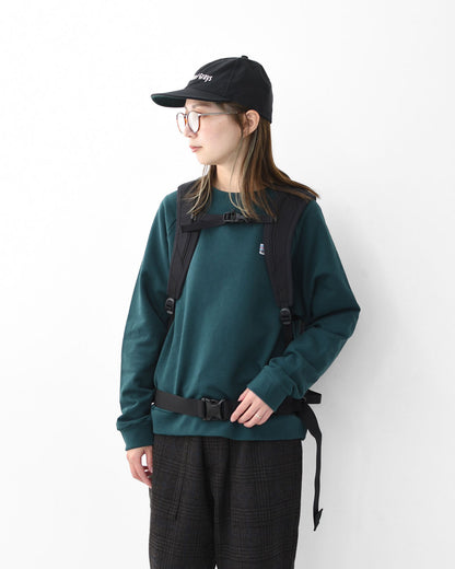 ARC'TERYX [アークテリクス正規代理店] Quintic 16 Backpack [X000008974] クインティック 16 バックパック・デイパック・フリーライド・スキー・スノーボード・リュック・MEN'S / LADY'S [2025AW]