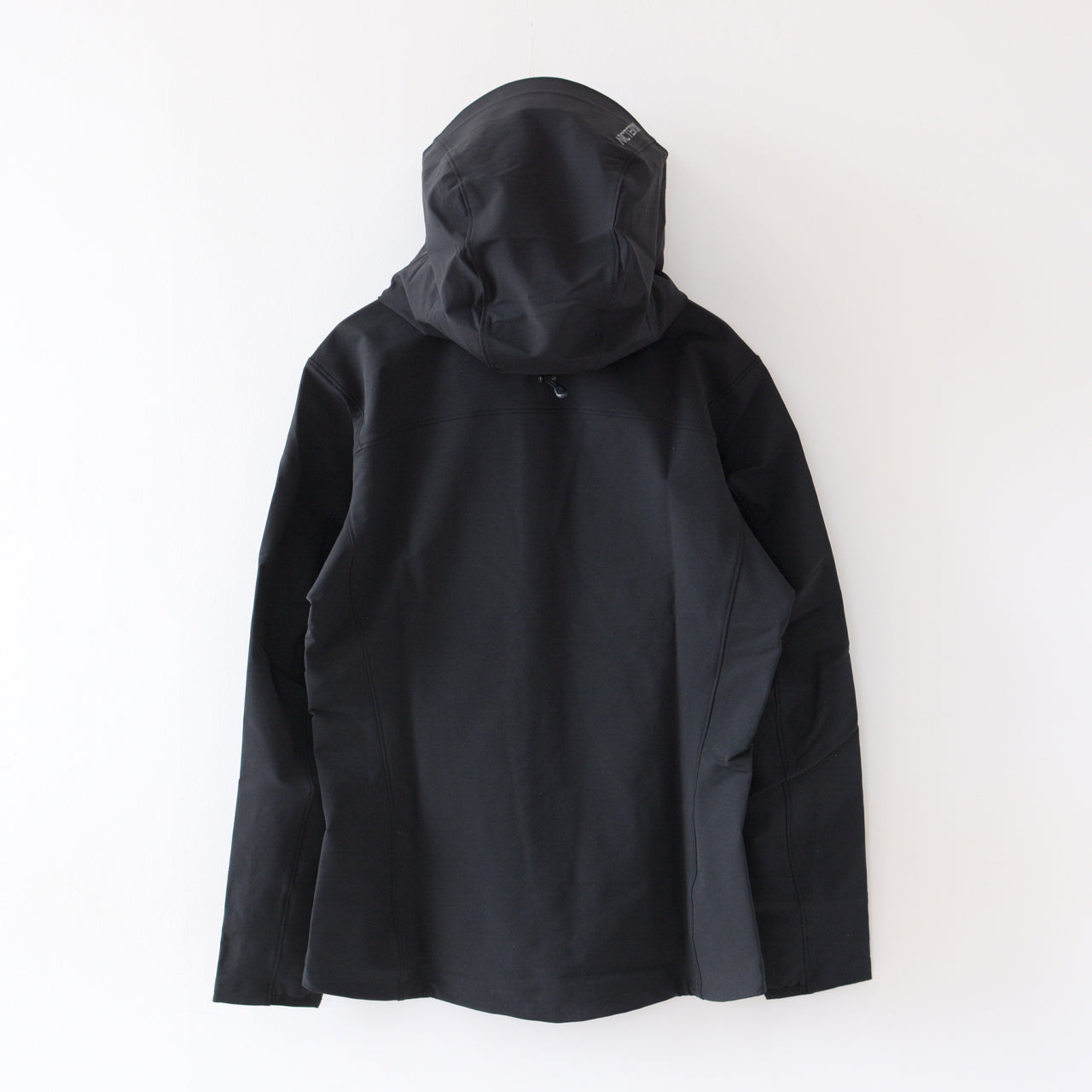 ARC'TERYX [アークテリクス正規代理店] Gamma Hoody Women's [X000010561] ガンマ フーディ ウィメンズ・フードジャケット・ソフトシェル・ナイロンジャケット・ハイキング・トレッキング・耐候性・伸縮性・保温・LADY'S [2025AW]