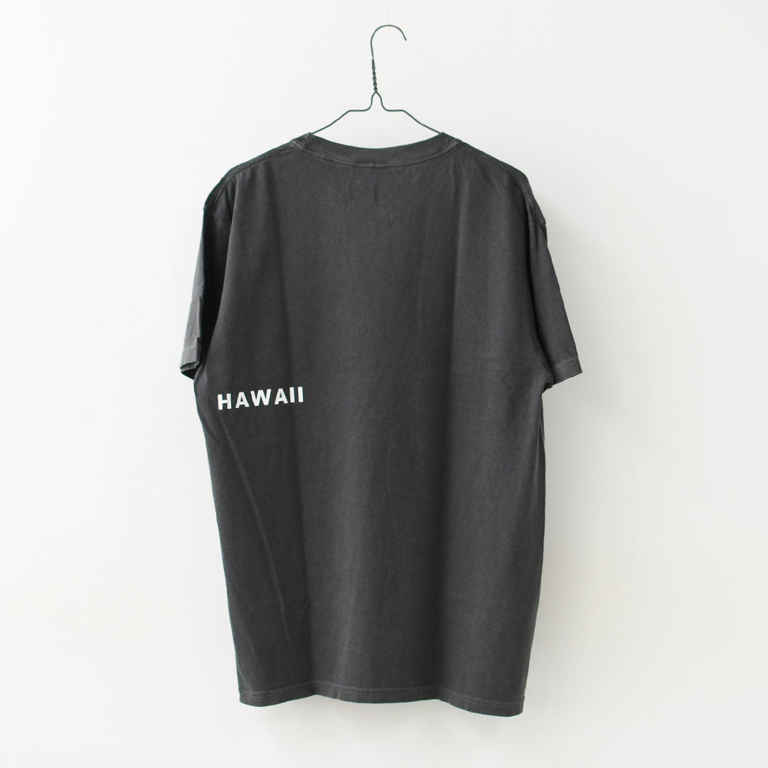 JAMES [ジェームス] SURF T-shirt [JHT099] サーフティーシャツ・ゆったりシルエット・6.1oz USコットン・シンプル・ピグメント染め・MEN'S / LADY'S [2026SS]