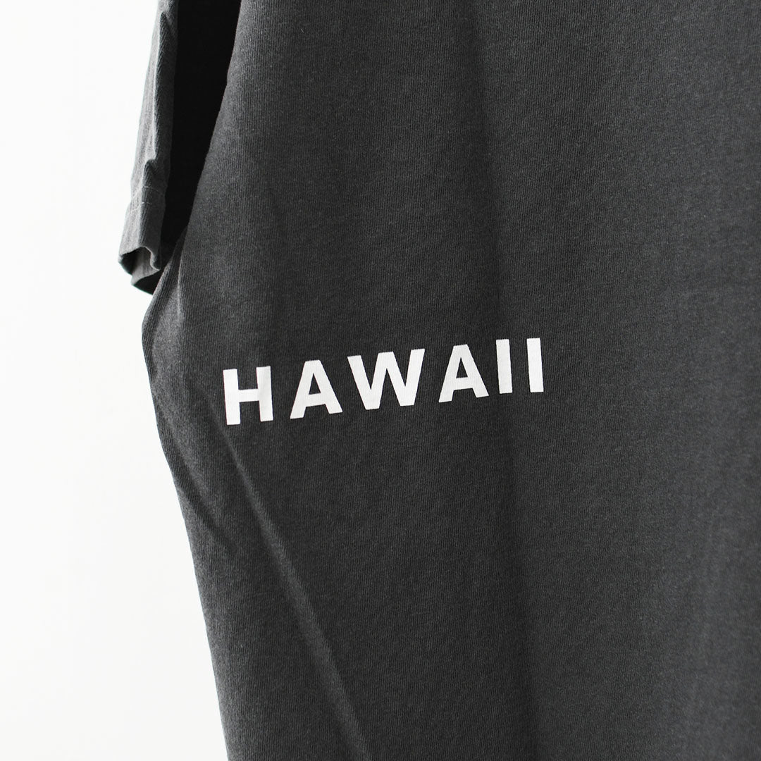 JAMES [ジェームス] SURF T-shirt [JHT099] サーフティーシャツ・ゆったりシルエット・6.1oz USコットン・シンプル・ピグメント染め・MEN'S / LADY'S [2026SS]