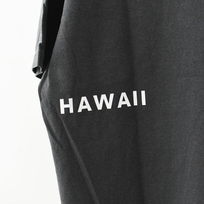 JAMES [ジェームス] SURF T-shirt [JHT099] サーフティーシャツ・ゆったりシルエット・6.1oz USコットン・シンプル・ピグメント染め・MEN'S / LADY'S [2026SS]
