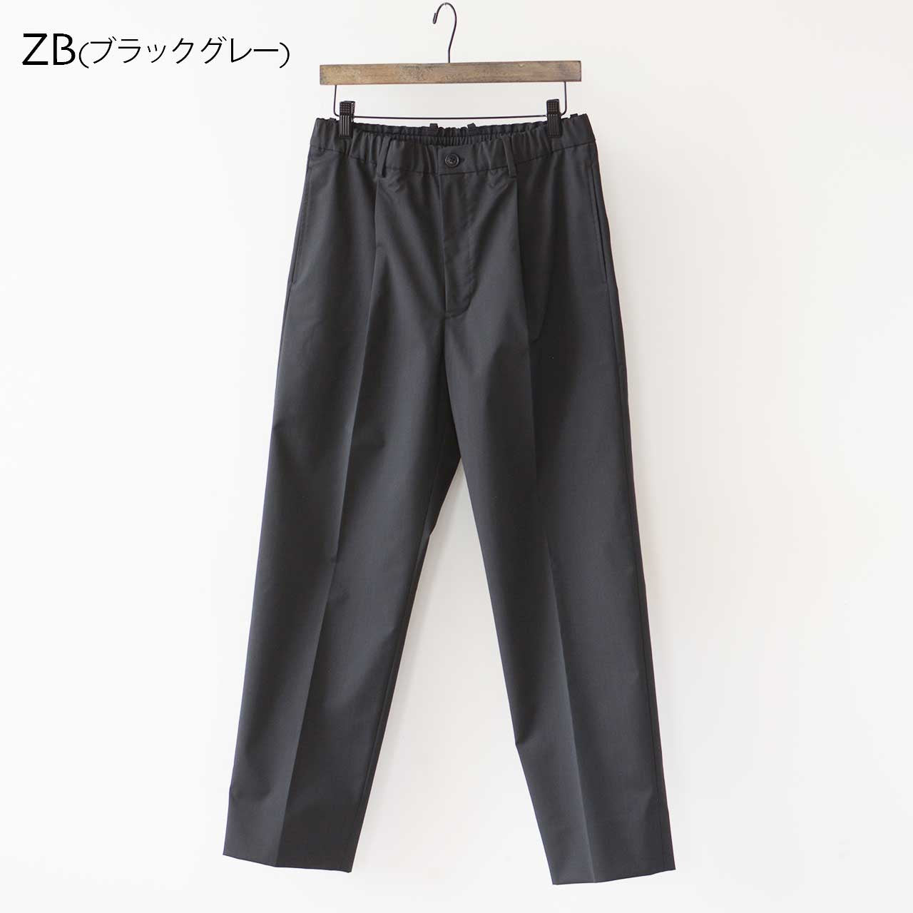 GOLDWIN [ゴールドウィン] WOOLY TWILL ONE TUCK PANTS [GL74351] ウールブレンドツイルワンタックパンツ(ユニセックス)  [2024AW]