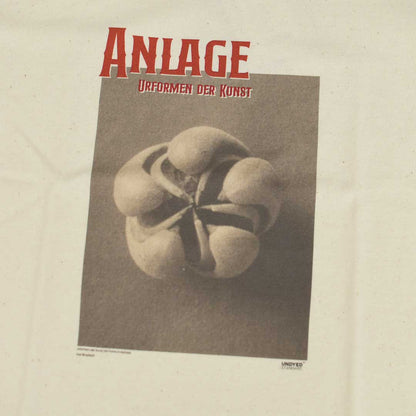 UNDYED [アンダイド] 30/2 Karl Blossfeldt Pt-T  [26S348A] 30/2カール・ブロスフェルト プリントT・オーガニックコットン・半袖Tシャツ・ゆったりシルエット・リラックス・キャンプ・アウトドア・MEN'S / LADY'S [2026SS]