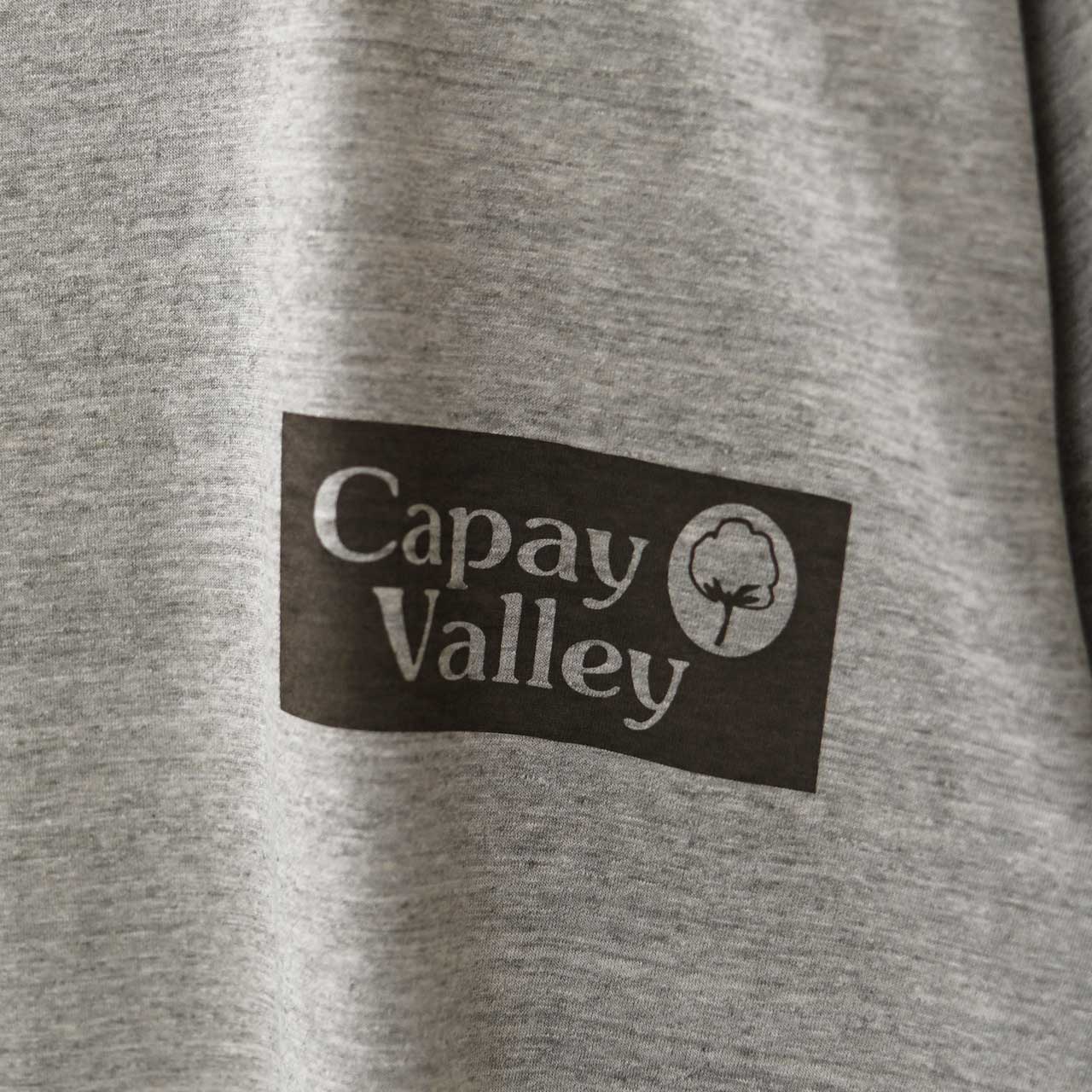 UNDYED [アンダイド] 30PV S/S PtTee(CV ATHLETIC) [UNS25SST001B] 30PVショートスリーブプリントTシャツ(CV ATHLETIC) [2025SS]