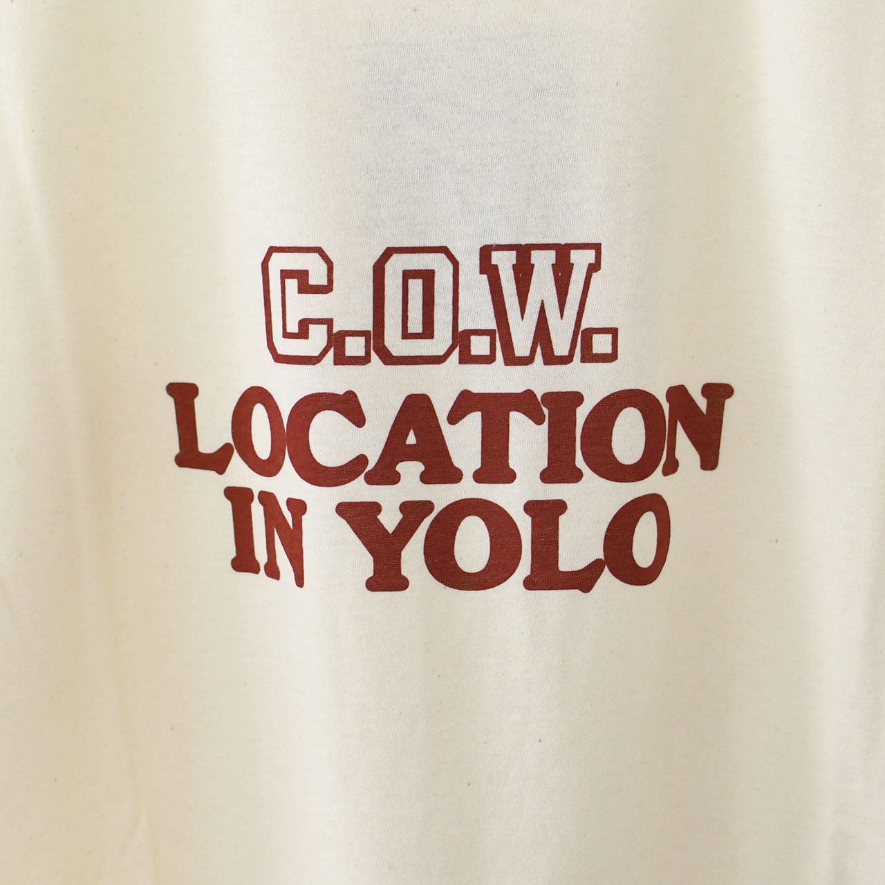 UNDYED [アンダイド] 30PV S/S PtTee(C.O.W) [UNS25SST001F] 30PVショートスリーブプリントTシャツ(C.O.W) [2025SS]