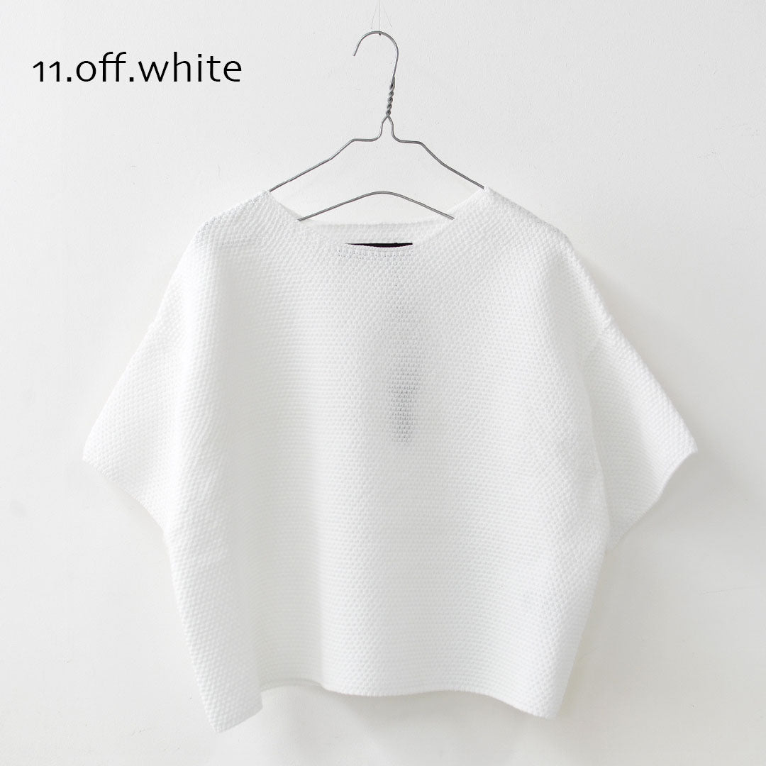 mizuiro ind [ミズイロ インド] short wide P/O [1-220076] ショートワイドプルオーバー・クルーネック・ワイドシルエット・ゆったりシルエット・シースルー・シアー・透け感・LADY'S[2026SS]