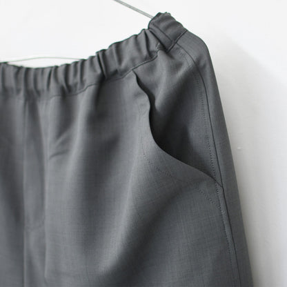 mizuiro ind [ミズイロ インド] painter easy PT [1-260090] ペインターイージーパンツ・LADY'S[2026ss]