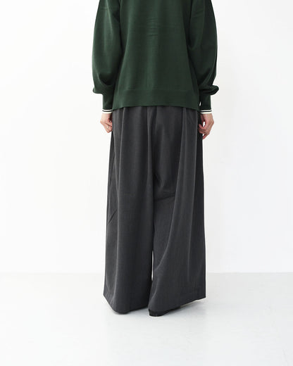 mizuiro ind [ミズイロ インド] T/R wide easy PT [3-260069] T/Rワイドイージーパンツ・ワイドパンツ・イージーパンツ・ルーズシルエット・LADY'S [2025AW]