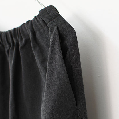 mizuiro ind [ミズイロ インド] T/R wide easy PT [3-260069] T/Rワイドイージーパンツ・ワイドパンツ・イージーパンツ・ルーズシルエット・LADY'S [2025AW]