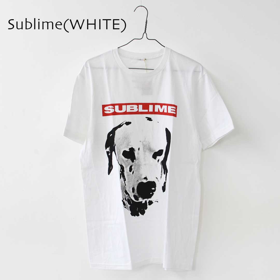TEE SYNDICATE [シンジケート] MUSIC S/S PRINT TEE [MUSIC-TEE] ミュージック ショートスリーブ プリント Tシャツ [2025AW]