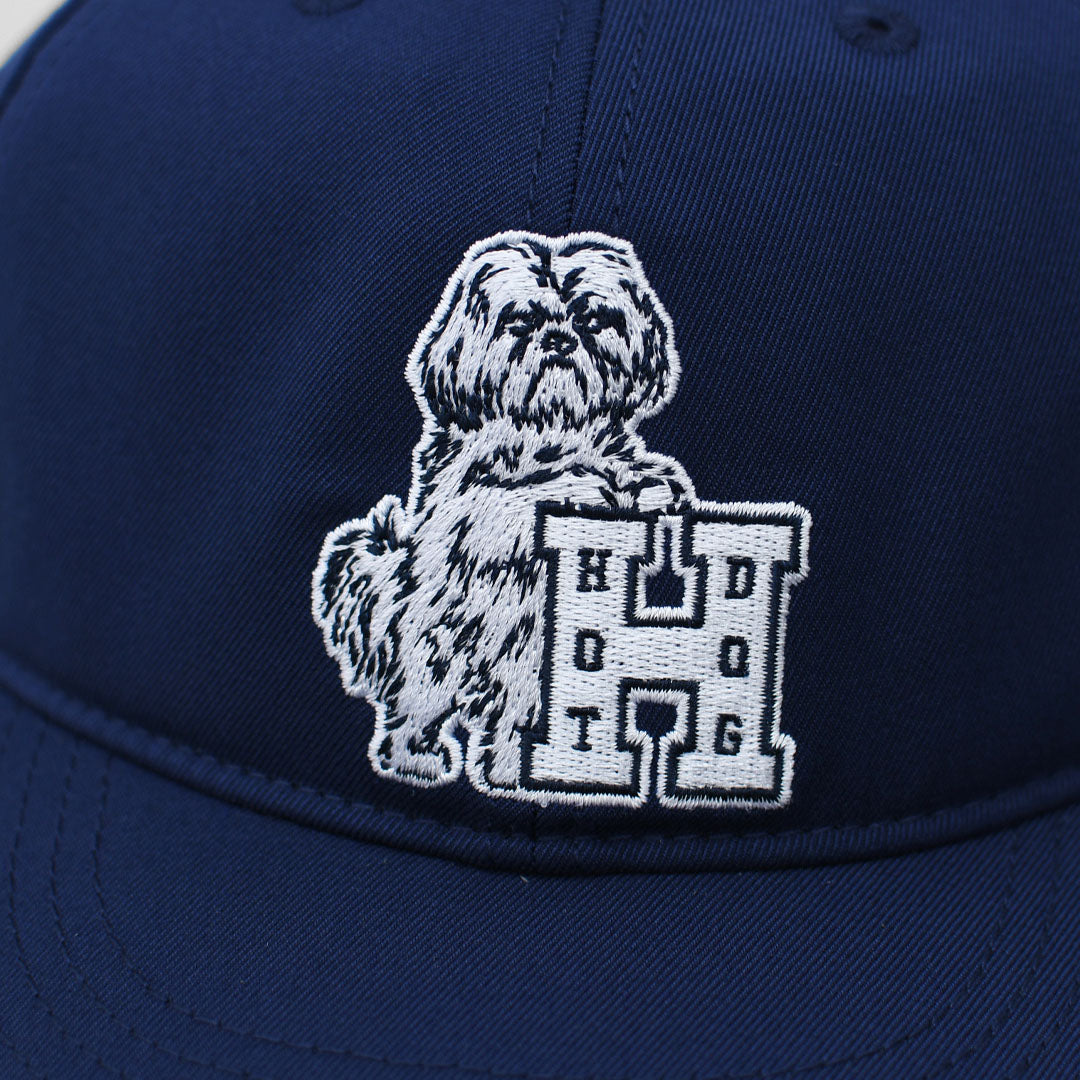 TACOMA FUJI RECORDS [タコマフジレコード] HOT DOG VNTG LOGO CAP [hot-d-logocap] MEN'S / LADY'S [2026AW]