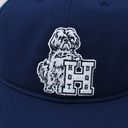 TACOMA FUJI RECORDS [タコマフジレコード] HOT DOG VNTG LOGO CAP [hot-d-logocap] MEN'S / LADY'S [2026AW]