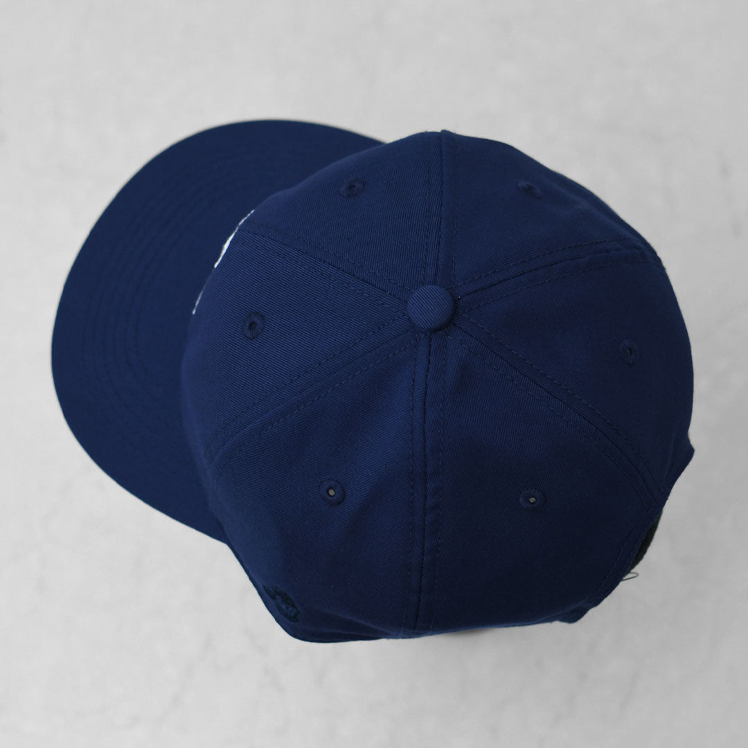 TACOMA FUJI RECORDS [タコマフジレコード] HOT DOG VNTG LOGO CAP [hot-d-logocap] MEN'S / LADY'S [2026AW]
