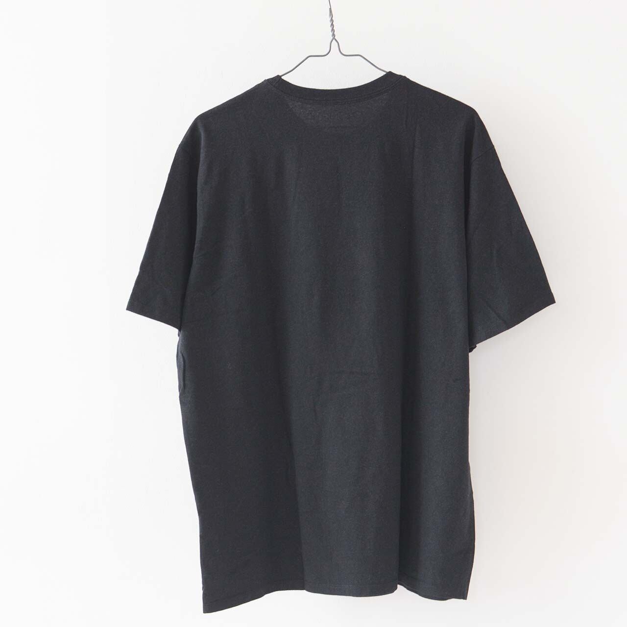 Patagonia [パタゴニア正規代理店] M's Take a Stand Responsibili-Tee [37591-24] メンズ・テイク・ア・スタンド・レスポンシビリティー [2024SS]