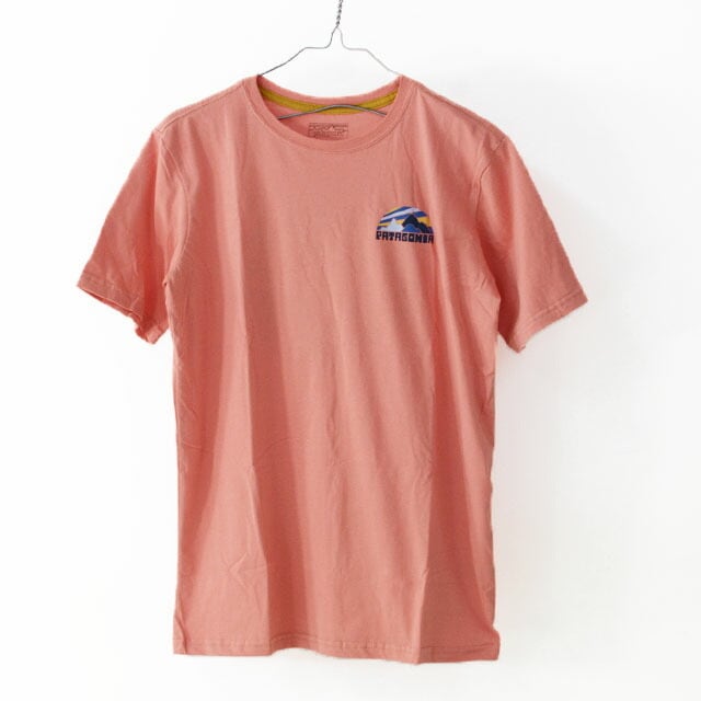 Patagonia [パタゴニア正規代理店] Boys' Graphic Organic T-Shirt [62151] ボーイズ・グラフィック・オーガニック・Tシャツ（キッズ・レディース） [2021SS]